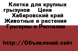 Клетка для крупных грызунов  › Цена ­ 4 000 - Хабаровский край Животные и растения » Грызуны и Рептилии   